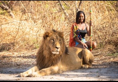🌍 🐾  Safari et Balade avec les lions à Fathala 🦁